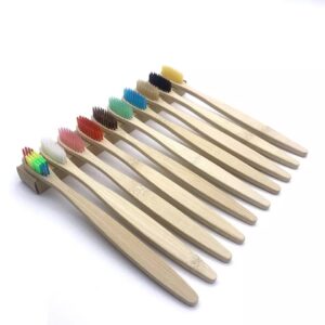 Cepillos de Bambú + Caja en Cartón