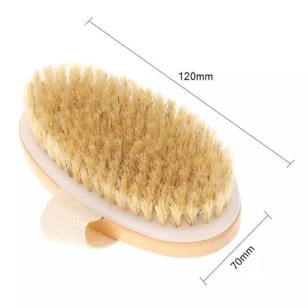 Cepillo Exfoliante Corporal - Image 3