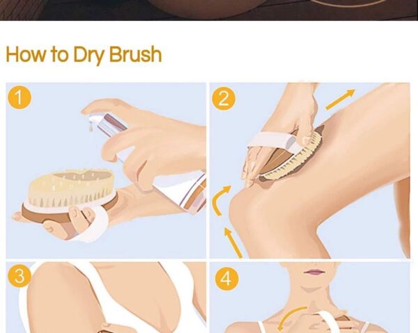 Cepillo Exfoliante Corporal - Image 5